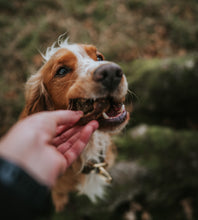 Anco Training Naturals Bully Bites Pack Dog Treats