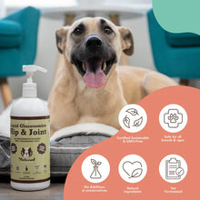 Natural Dog Company Hip & Joint (Liquid Glucosamine) Dog Supplements