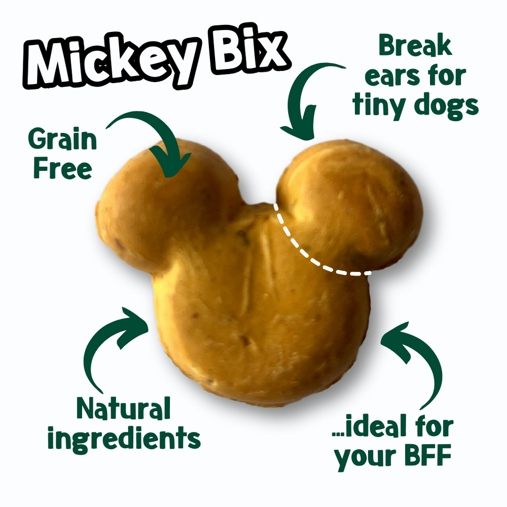 Parklife Mickey Cheese Bix Dog Treat Happy Tails