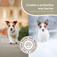 Natural Dog Company Pawtector-Holistic Dog Balm