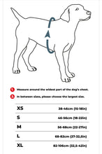 Copenhagen Comfort Walk Pro Dog Harness- Blue
