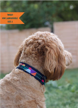 Twiggy Tags Aurora  Adventure Dog  Collar