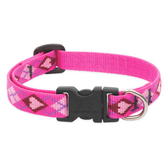 Lupine Pet Puppy Love Dog Collars Collection