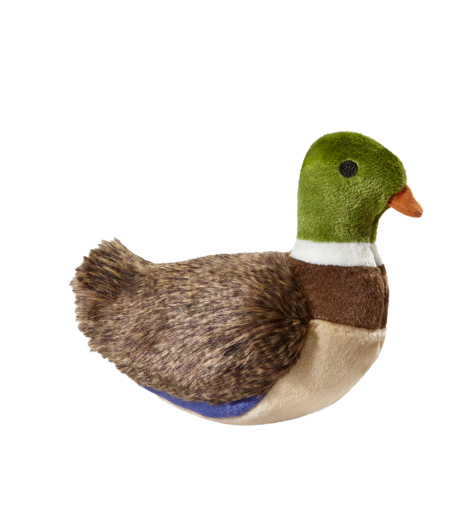 Mallard plush 2024