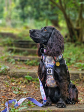 Twiggy Tags Blossom  Adventure Dog Harness