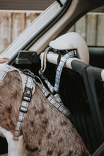 Twiggy Tags Adventure Dog Seatbelt