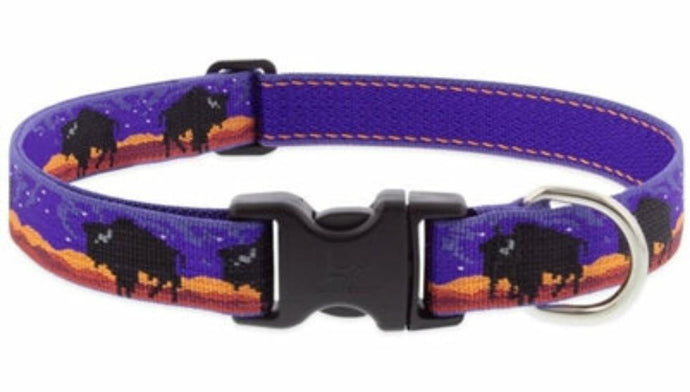 Lupine Pet Big Sky Dog Collars