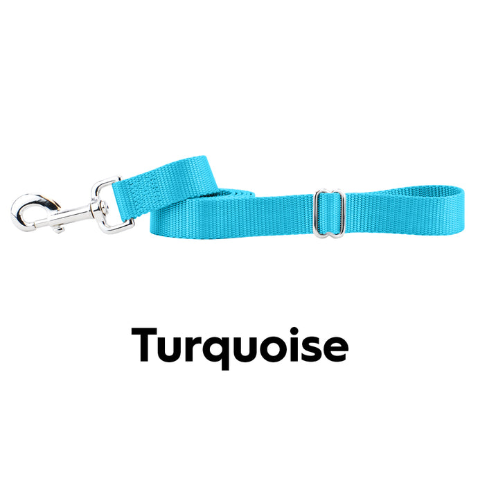 2hound turquoise 4ft nylon dog lead-happy tails