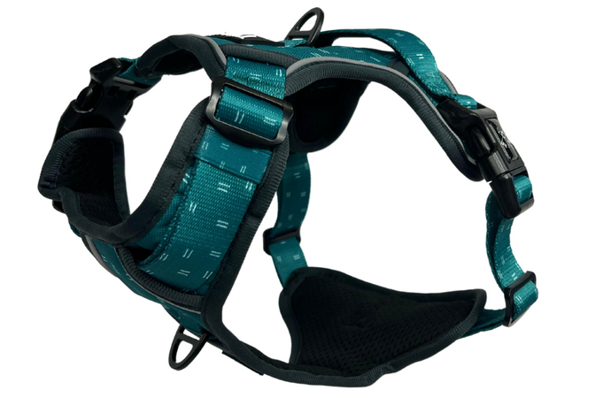 Twiggy Tags Tranquil Adventure Dog Harness