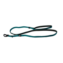 Twiggy Tags Tranquil Adventure Dog Lead