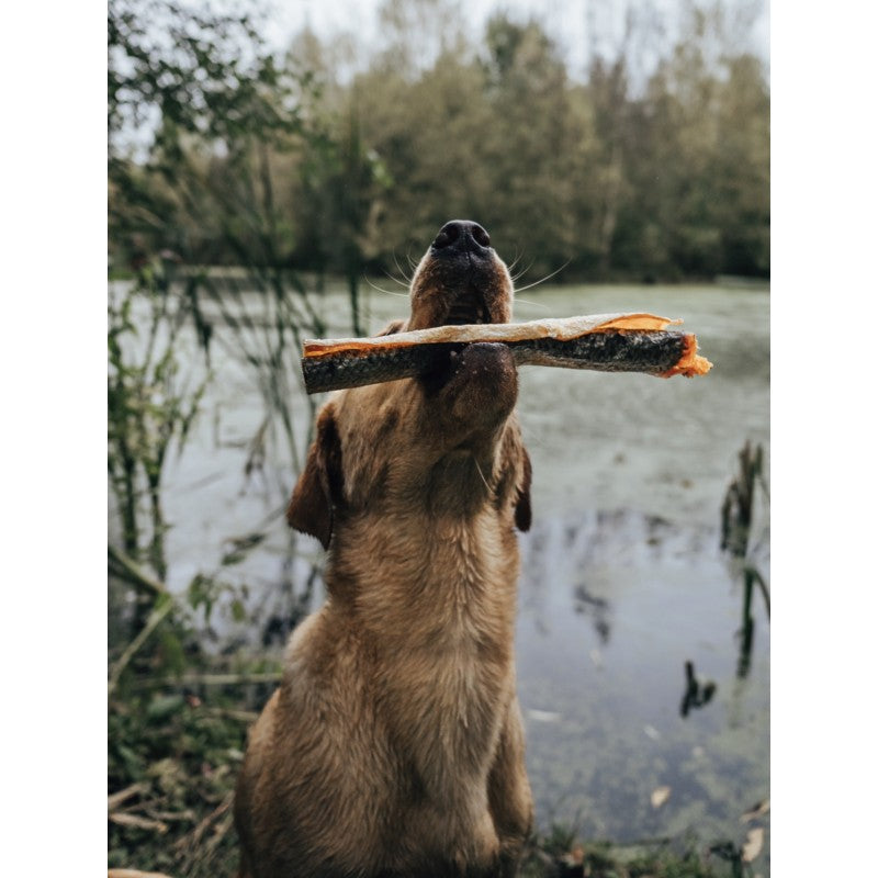 Anco Salmon Roll Dog Chew Happy Tails