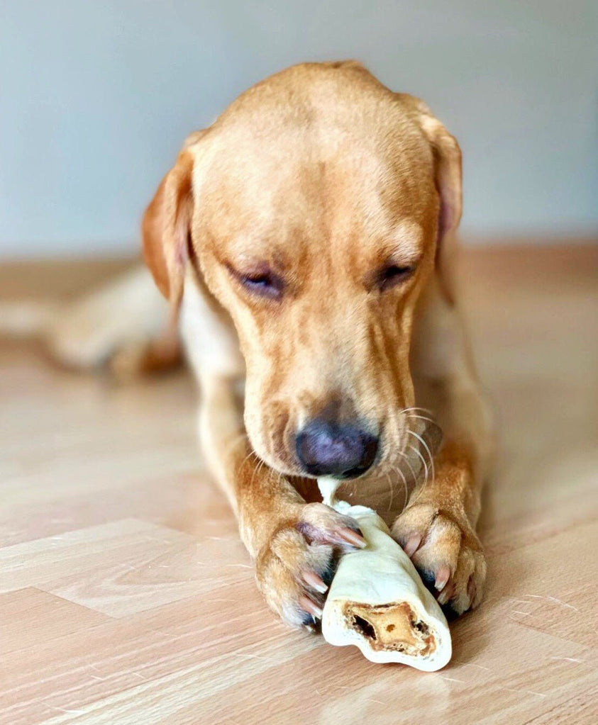 JR Pet Dog Treats & Chews