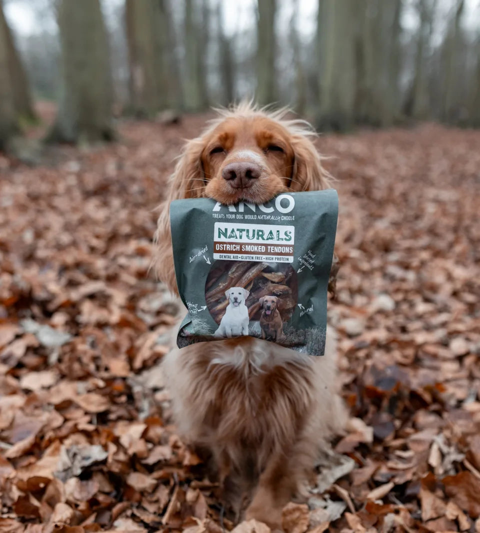 This Weeks New Arrivals