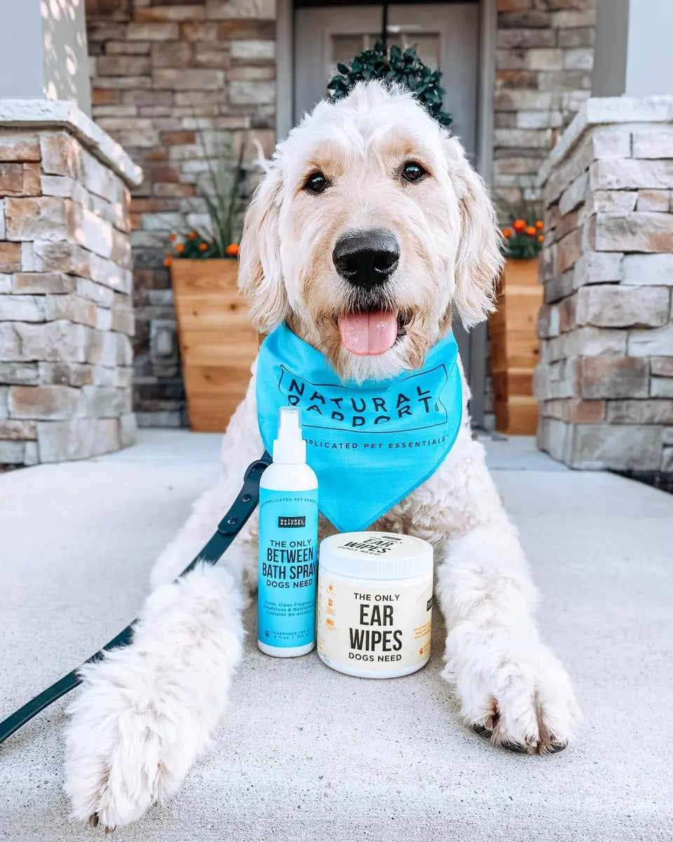 Natural Rapport Dog Supplements & Dog Care