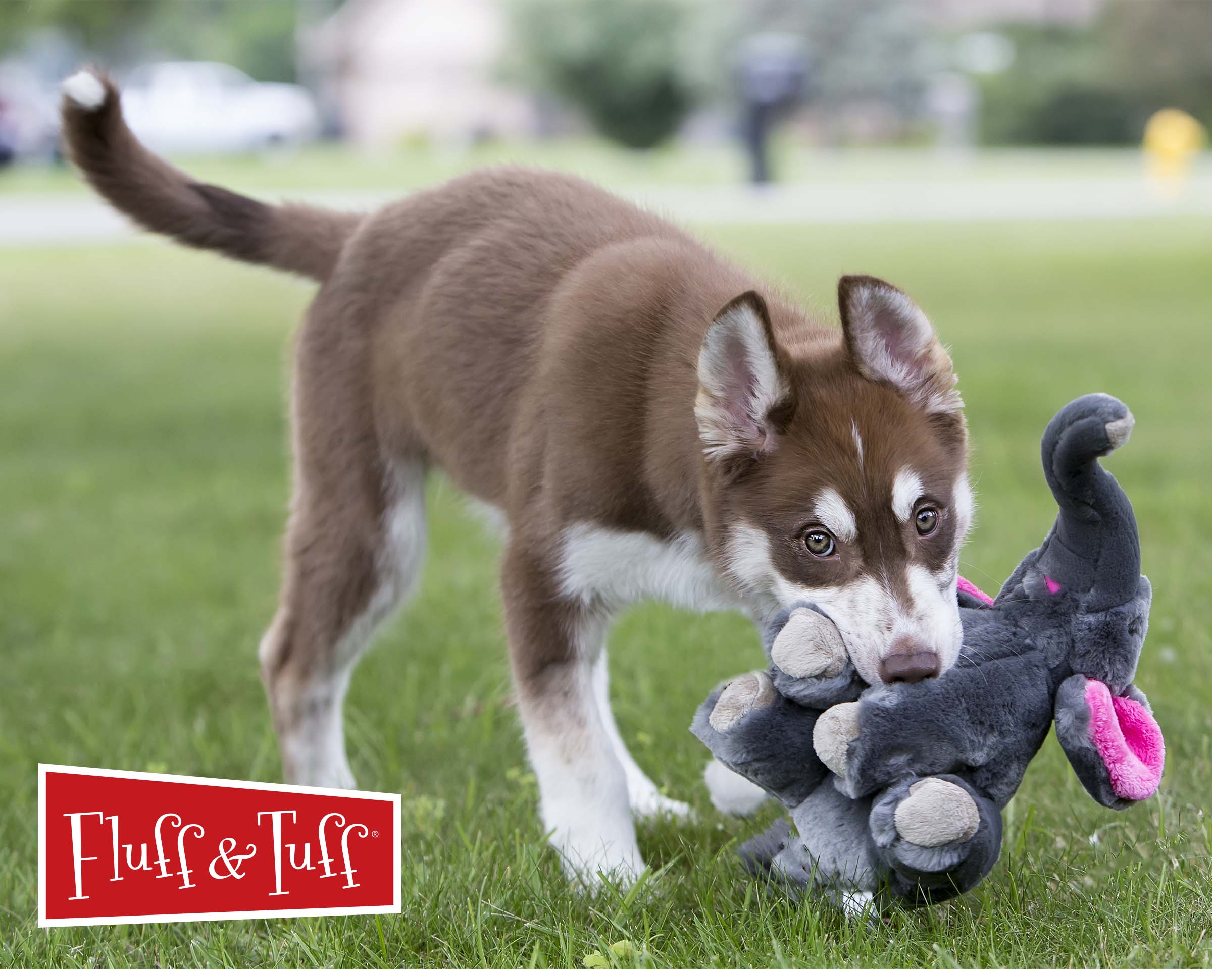 Wholesale Collection