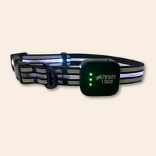 Twiggy Tags TrekBright™ Light-Up Collar