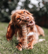 Anco Bully Tube Trachea Dog Chew