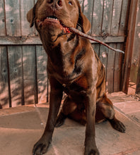 Anco Naturals Wild Boar Tail Dog Chew