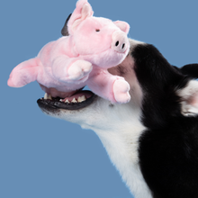 Fluff & Tuff Petey Pig Dog Toy
