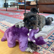 Fluff & Tuff Charlie Triceratops Plush Dog Toy
