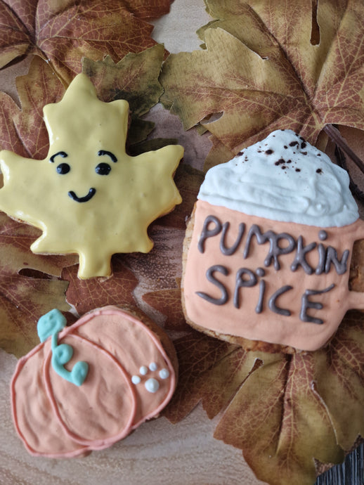 Happy Tails Autumn Cookie Collection-  Pumpkin Spice Treat Box