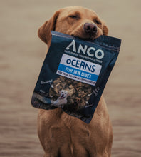 Anco Training Oceans Fish Skin Cubes Dog Treats