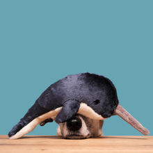 Fluff & Tuff Bleu Narwhal Plush Dog Toy