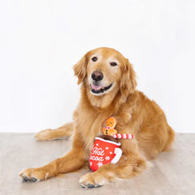 Petshop by Fringe Warming up the Holidays Christmas Dog Toy