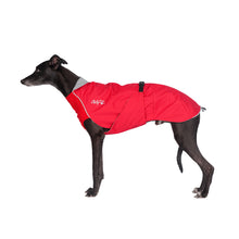 Chilly Dog Rain Slicker Dog Coat