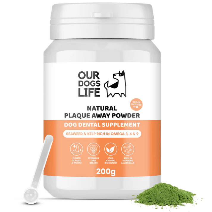 Our Dogs Life Natural Plaque Remover Powder