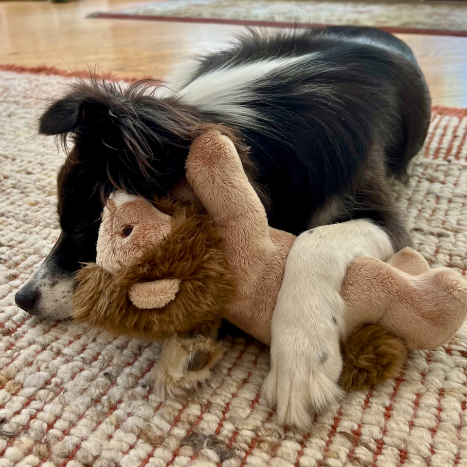 Leo the lion stuffed animal on sale