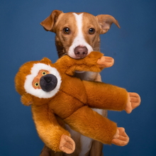 Fluff & Tuff Marcel Monkey Plush Dog Toy