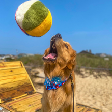 Fluff & Tuff Beach Ball Plush Dog Toy