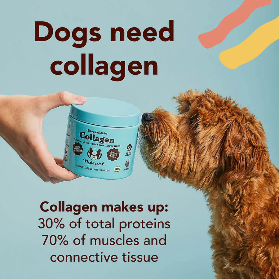 Collagen peptides for dogs hot sale