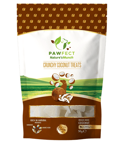 Pawfect Coconut Dog Treats