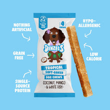Denzels Chews Dog Treats- Tropical Soft Baked Chews