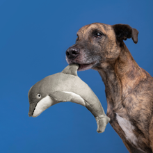 Fluff & Tuff Danny Dolphin Plush Dog Toy