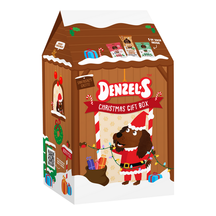 Denzels Christmas Grotto Dog Treat Gift Set