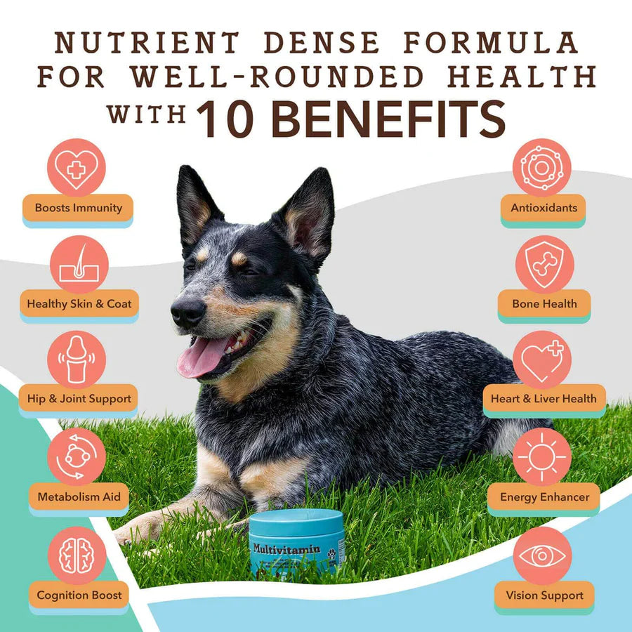 Organic dog multivitamin clearance