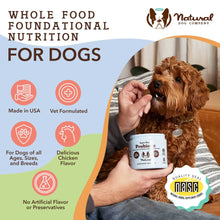 Natural Dog Company Super-Flora Probiotic Supplement