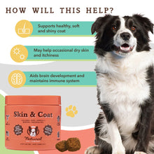 Natural Dog Company Skin & Coat Dog Supplements