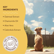 Natural Dog Company Sensitive Skin Spritz
