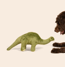 Fluff & Tuff Emily Brontosaurus Plush Dog Toy