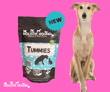 Holistic Hound Tummies Dog Supplement