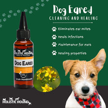 Holistic Hound Dog Eared Dog Ear Cleaner