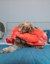 Fluff & Tuff Manny Lobster Plush Dog Toy