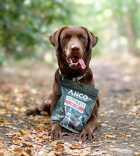 ANCO Naturals Bully Tripe Dog Treats