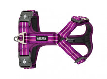 Copenhagen Comfort Walk Air Dog Harness- Purple