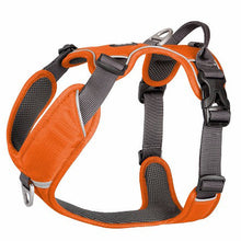 Copenhagen Comfort Walk Pro Dog Harness-Orange