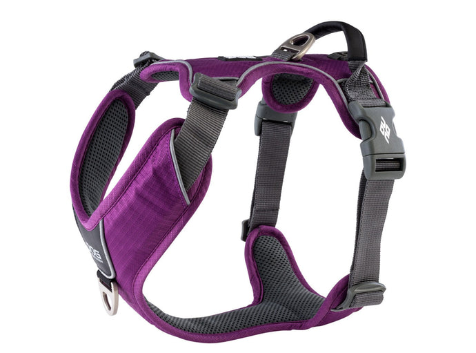 Copenhagen Comfort Walk Pro Dog Harness-Purple